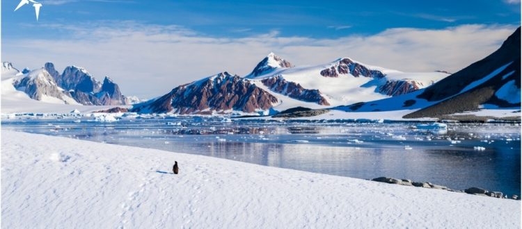 Antarctic Desert, The Largest Desert in the World