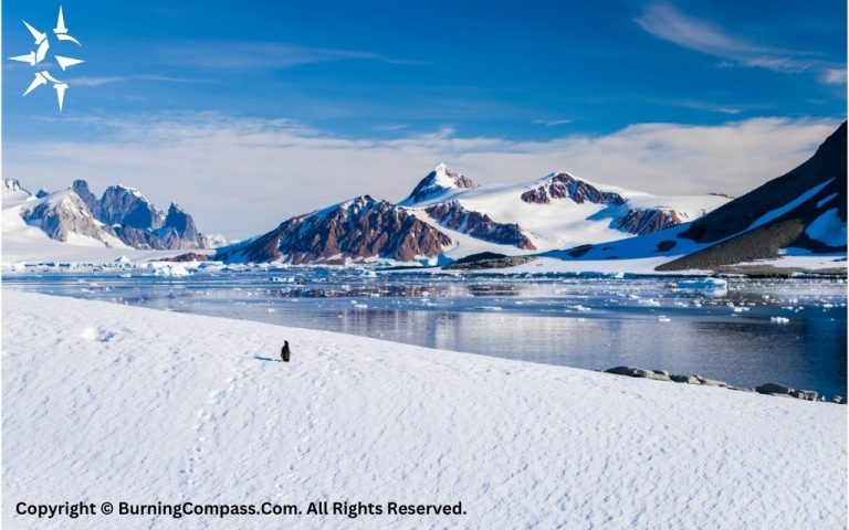 Antarctic Desert, The Largest Desert in the World