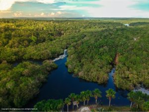 Which countries share the Amazon Rainforest?