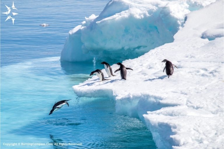 Antarctica - the smallest continent by population