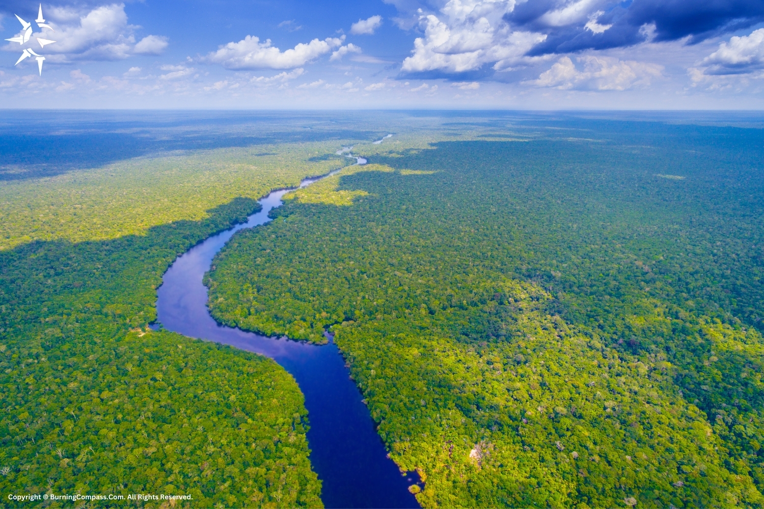 What is the largest rainforest in the world?