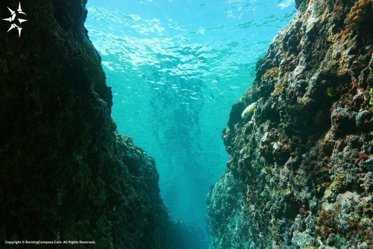 Which is the deepest ocean trench?