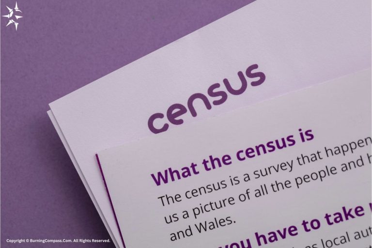 What is census?