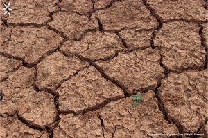 Drought El Nino